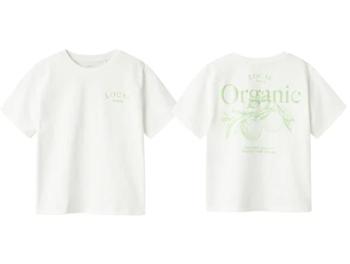 Name It cloud dancer/arcdian green printet t-shirt